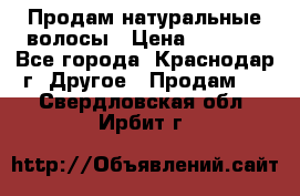 Продам натуральные волосы › Цена ­ 3 000 - Все города, Краснодар г. Другое » Продам   . Свердловская обл.,Ирбит г.